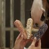Friandises cheval Éclair avec glaçage et herbes - Candy Horse