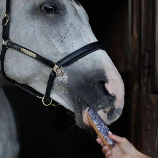 Friandises cheval Éclair avec glaçage et herbes bleuet - Candy Horse