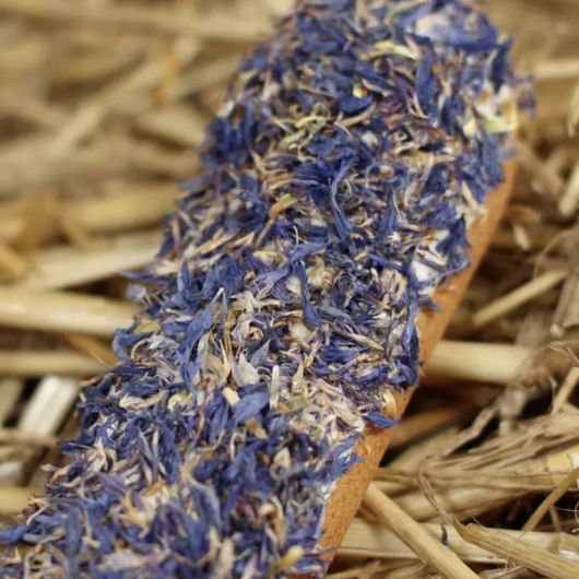 Friandises cheval Éclair avec glaçage et herbes bleuet - Candy Horse