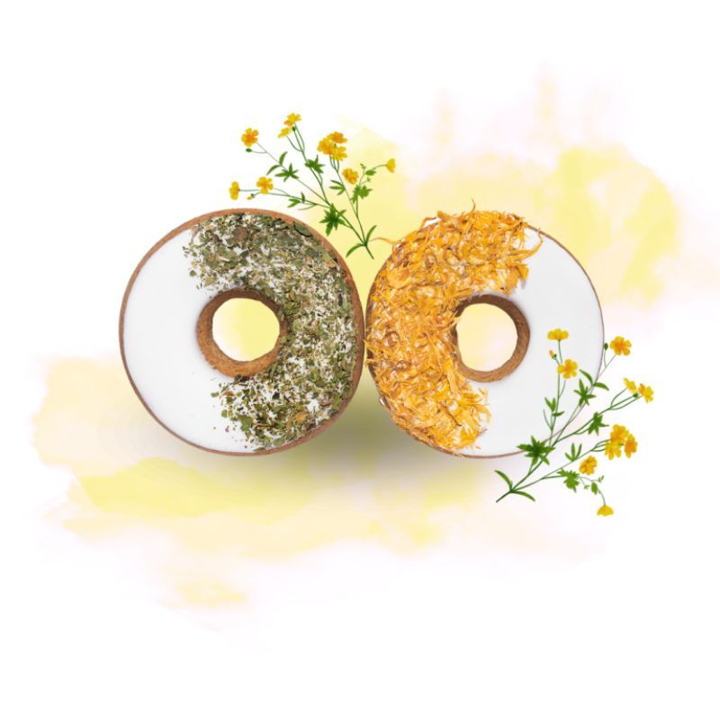 Friandises cheval Donuts aux herbes avec glaçage calendula et persil - Candy Horse