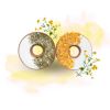 Friandises cheval Donuts aux herbes avec glaçage calendula et persil - Candy Horse