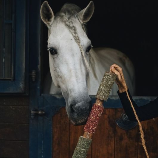 Jouet cheval Bois à mâcher aux herbes immunité - Candy Horse