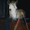 Jouet cheval Bois à mâcher aux herbes immunité - Candy Horse