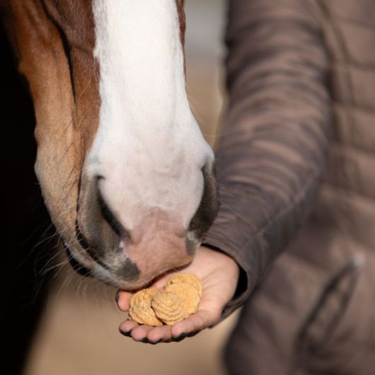 Friandises cheval Biscuits à la noix de coco - Candy Horse