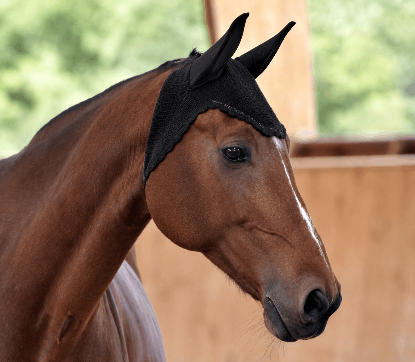 Bonnet anti-mouches cheval noir liseré brillant -  Mon Billy Bonnet