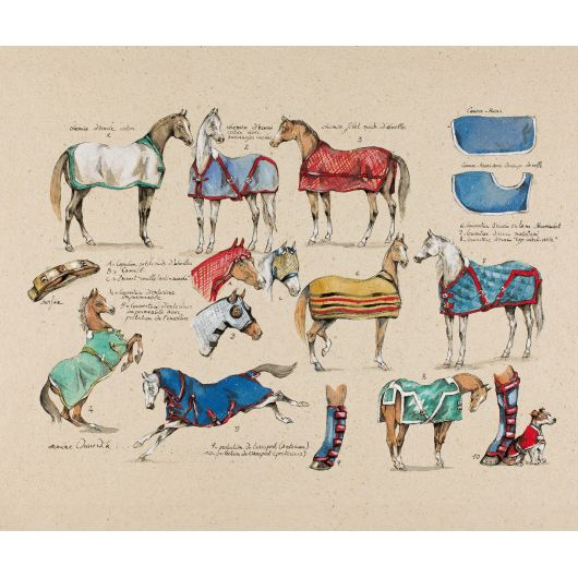Livre Croquis équestres : Une passion en images - Vigot