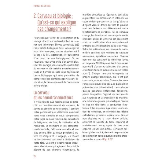 L'odorat des chevaux : Entraînement au pistage olfactif - Vigot