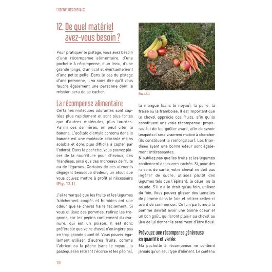 L'odorat des chevaux : Entraînement au pistage olfactif - Vigot