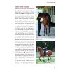 Le dressage expliqué en images - Vigot