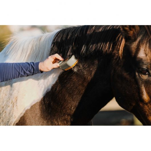 Etrille à vapeur cheval avec manche 