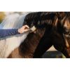 Etrille à vapeur cheval avec manche 