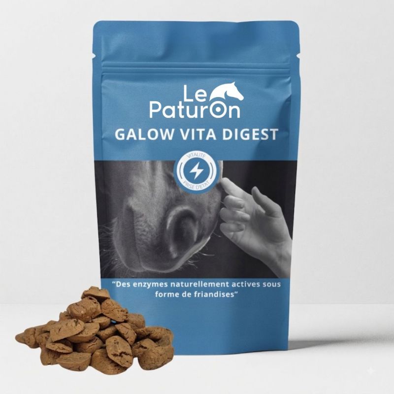 Friandises cheval probiotiques Galow Digest 690 g - Le Paturon