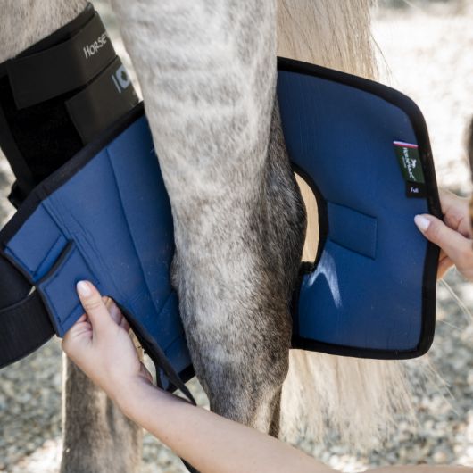 Protège-jarrets cheval thérapeutique Ionic - Horseware