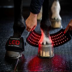 Cloches cheval thérapeutiques Luminothérapie LED (x2) - Horseware