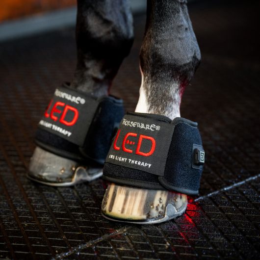 Cloches cheval thérapeutiques Luminothérapie LED (x2) - Horseware