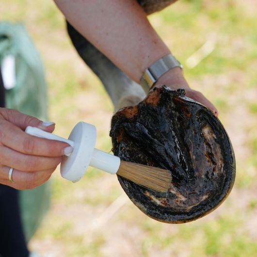 Natural Hoof Huile sabot cheval - Natural'Innov