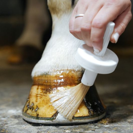 Natural Hoof Huile sabot cheval - Natural'Innov
