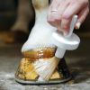 Natural Hoof Huile sabot cheval - Natural'Innov