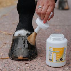Natural Hoof Huile sabot cheval - Natural'Innov