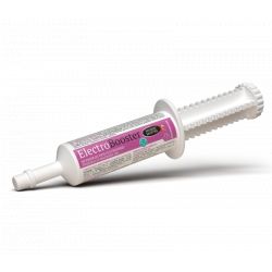 Electro Booster electrolytes cheval seringue 30 g - Horse Master