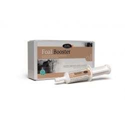 Foal Booster 4 seringues 15 ml - Horse Master