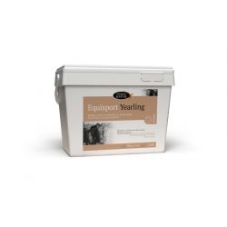 Equisport Yearling - Horse Master