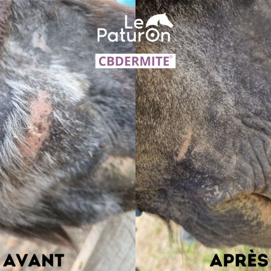 Huile dermite estivale cheval CBDermite Anti-gaspi - Galowade