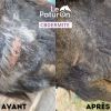 Huile dermite estivale cheval CBDermite Anti-gaspi - Galowade