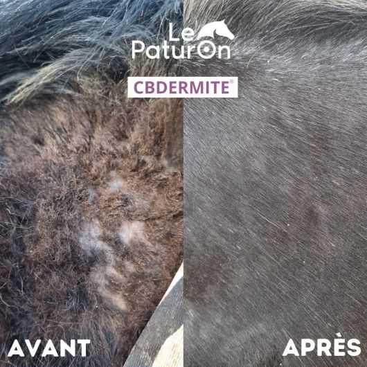 Huile dermite estivale cheval CBDermite Anti-gaspi - Galowade