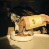 Levure de bière chien et chat - Nutragile