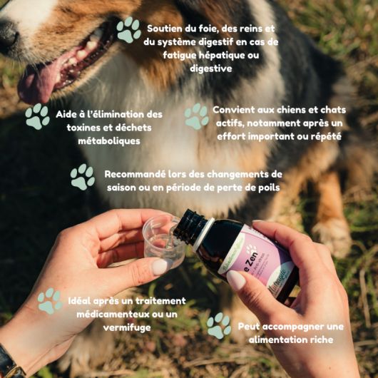 Le Zen chien et chat - Nutragile