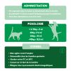 Le Zen chien et chat - Nutragile