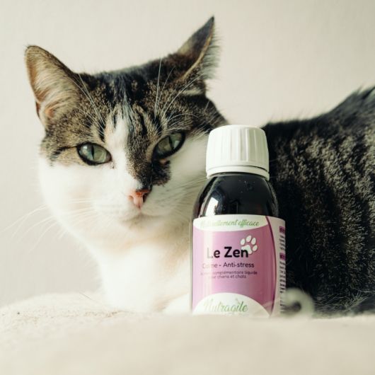 Le Zen chien et chat - Nutragile