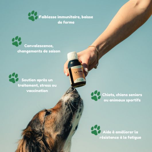 Le Tonic chien et chat - Nutragile