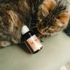 Le Tonic chien et chat - Nutragile
