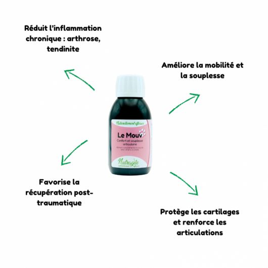 Le Mouv chien et chat - Nutragile