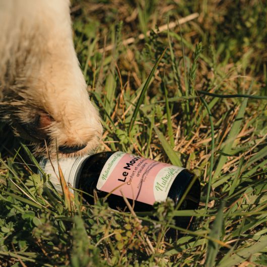 Le Mouv chien et chat - Nutragile