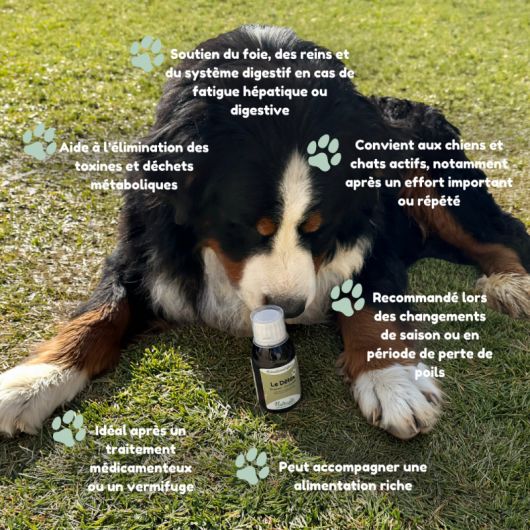 Le Détox chien et chat - Nutragile