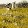Argile alimentaire + chien et chat - Nutragile