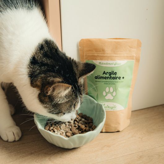 Argile alimentaire + chien et chat - Nutragile