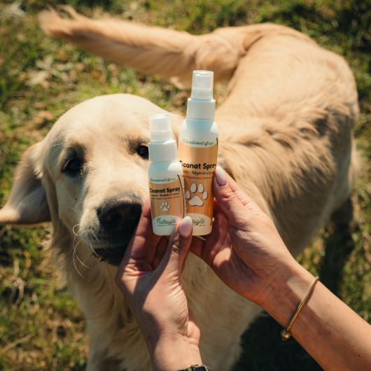 Cicanat spray chien et chat - Nutragile