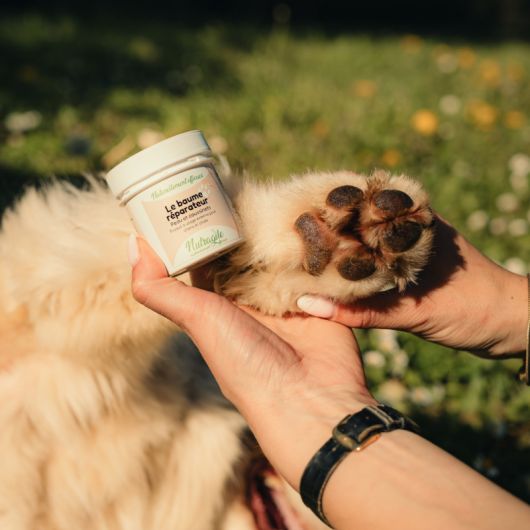 Baume réparateur chien et chat - Nutragile