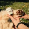 Baume réparateur chien et chat - Nutragile