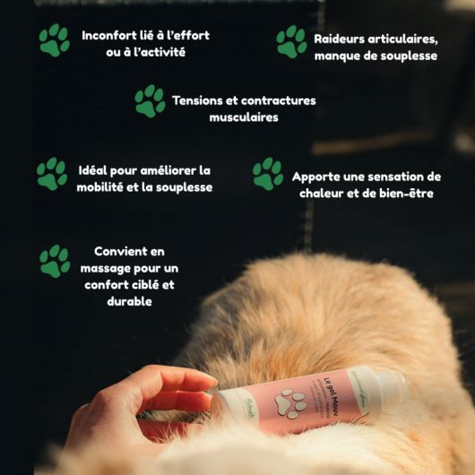 Le gel Mouv chien et chat - Nutragile