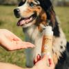 Le gel Soulage chien et chat - Nutragile