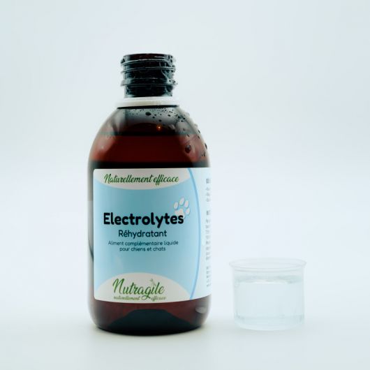 Electrolytes chien et chat - Nutragile