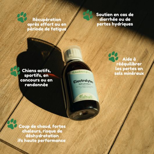 Electrolytes chien et chat - Nutragile