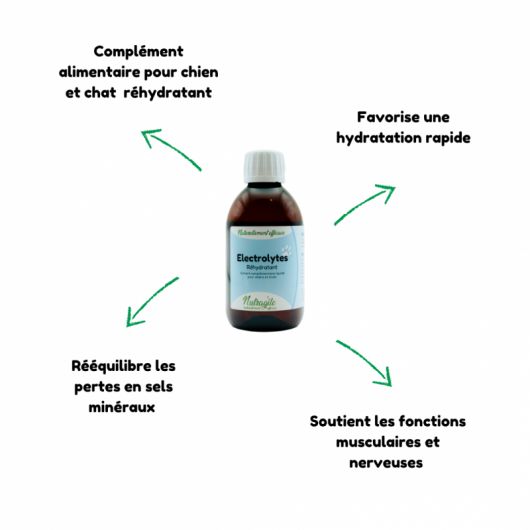 Electrolytes chien et chat - Nutragile