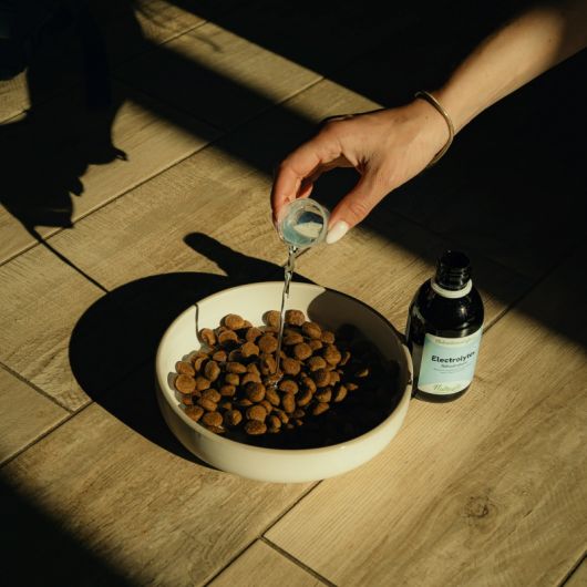 Electrolytes chien et chat - Nutragile