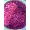 Huile sabot Liquid Hoof Dressing Glitter Rose Gold Edition - Kevin Bacon's